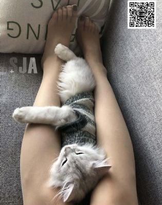 80影视