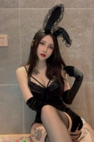中通快运单号物流追踪